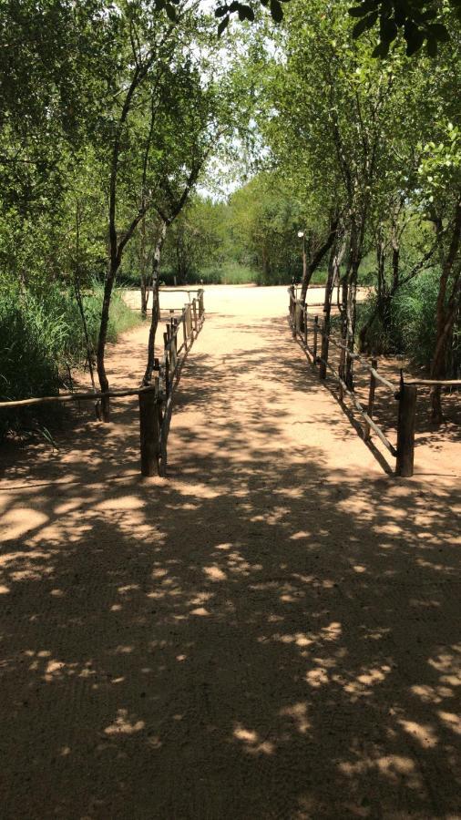 Mzsingitana Tented Camp Hoedspruit Eksteriør billede
