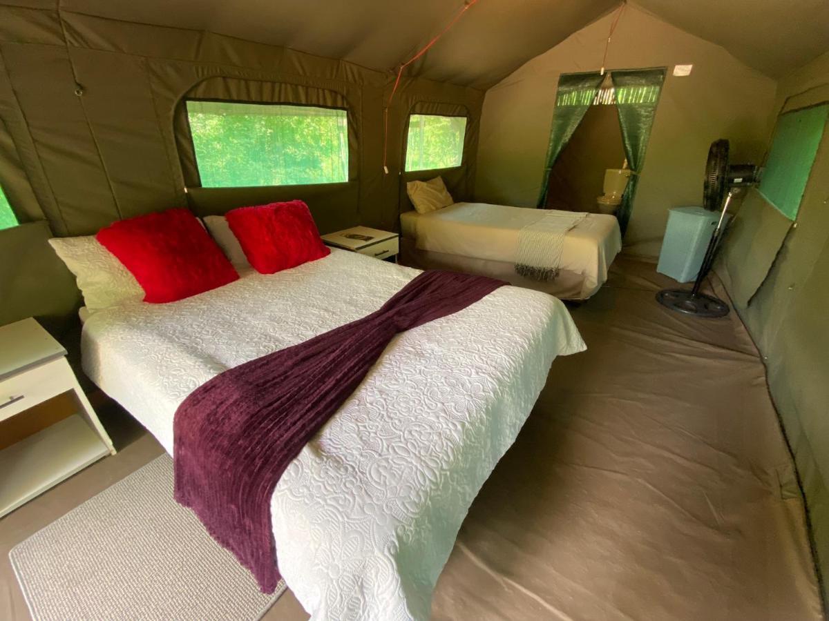 Mzsingitana Tented Camp Hoedspruit Eksteriør billede