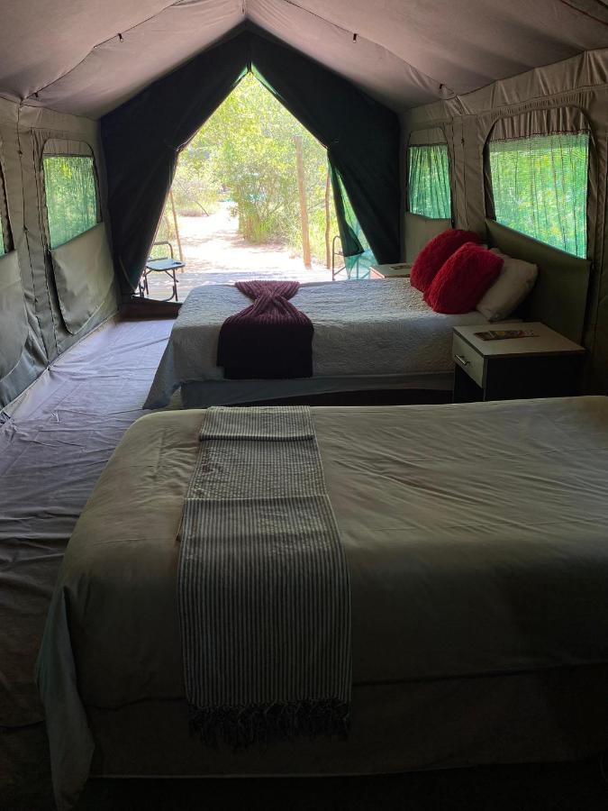 Mzsingitana Tented Camp Hoedspruit Eksteriør billede
