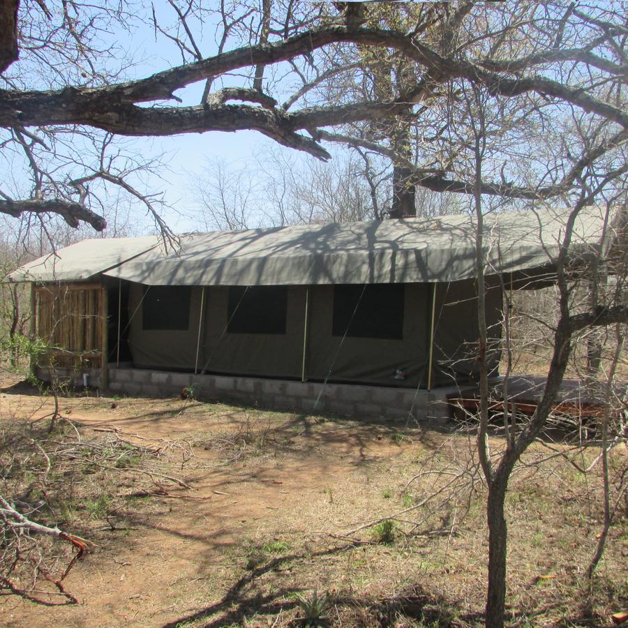 Mzsingitana Tented Camp Hoedspruit Eksteriør billede