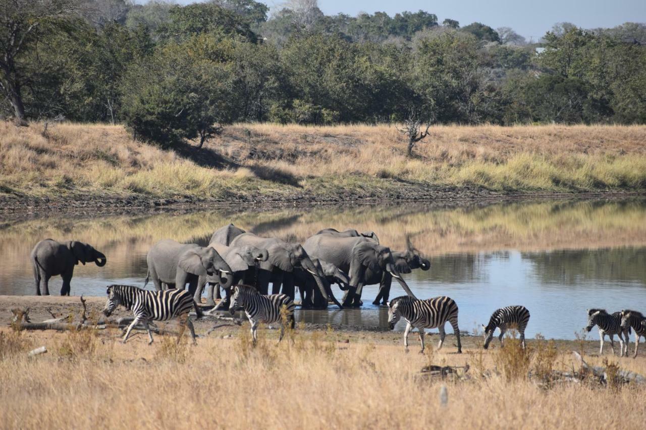Mzsingitana Tented Camp Hoedspruit Eksteriør billede