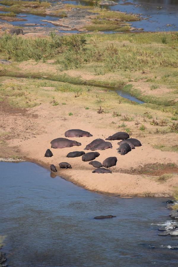 Mzsingitana Tented Camp Hoedspruit Eksteriør billede