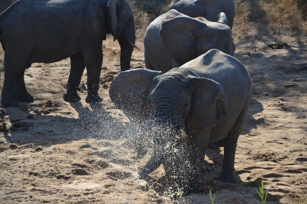 Mzsingitana Tented Camp Hoedspruit Eksteriør billede