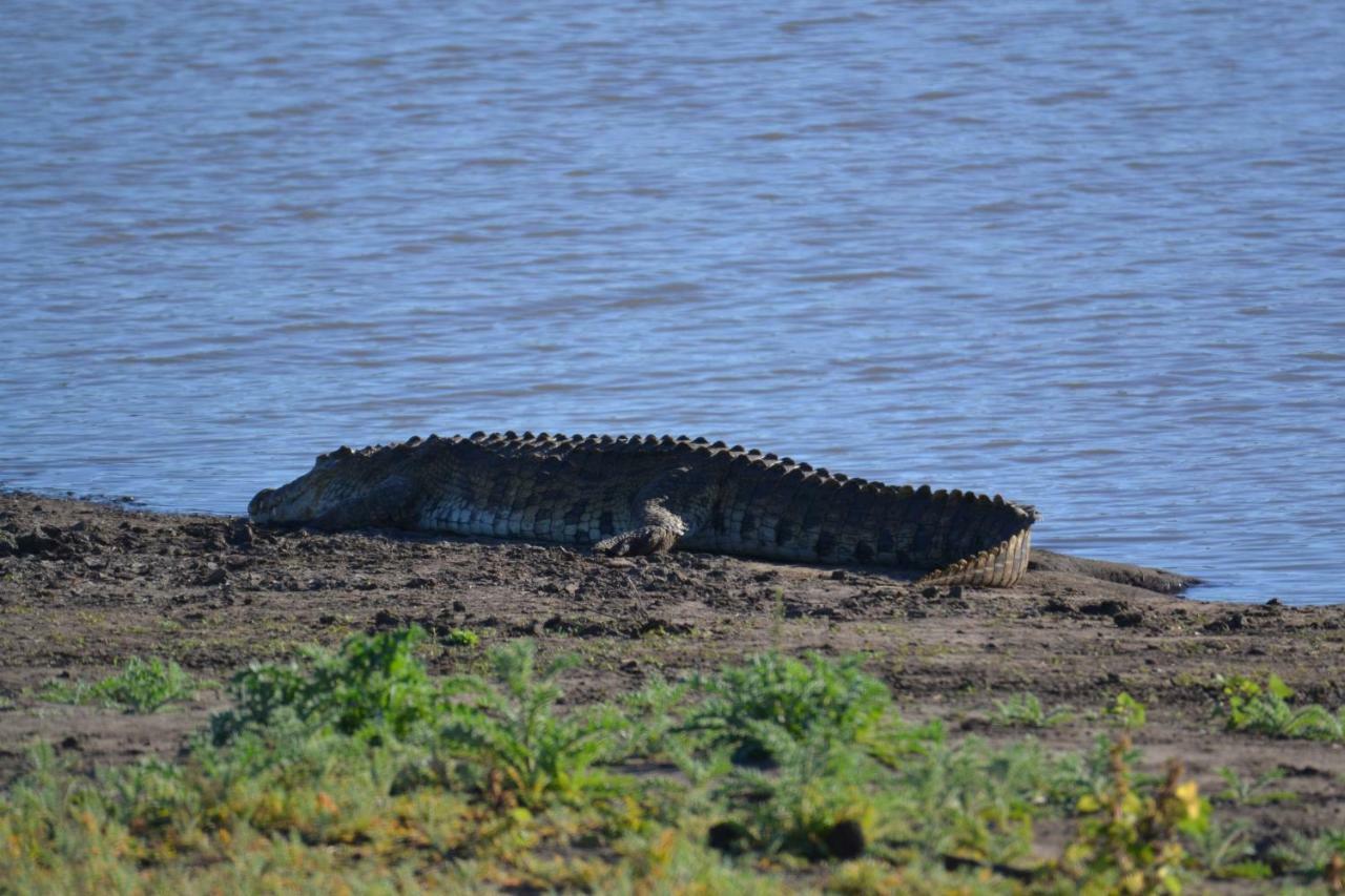Mzsingitana Tented Camp Hoedspruit Eksteriør billede
