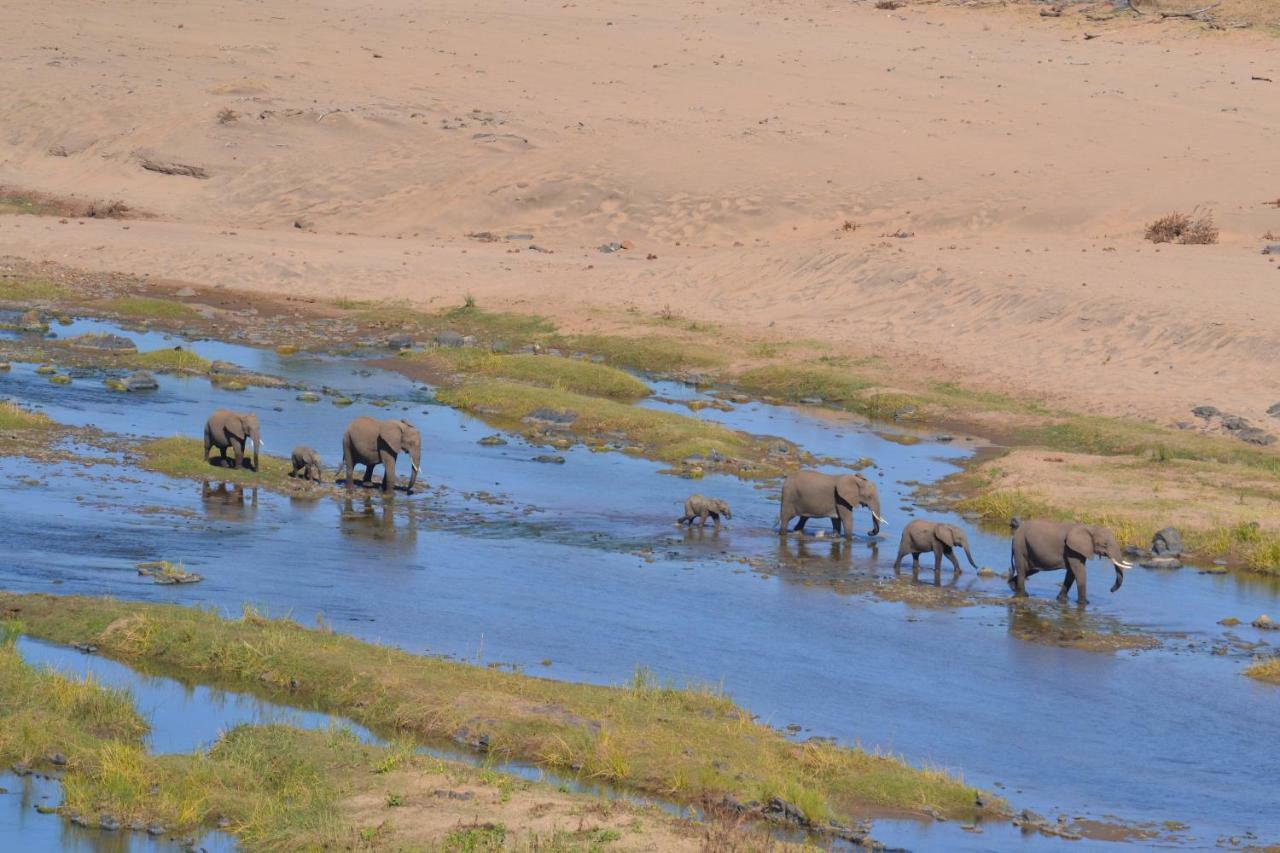 Mzsingitana Tented Camp Hoedspruit Eksteriør billede